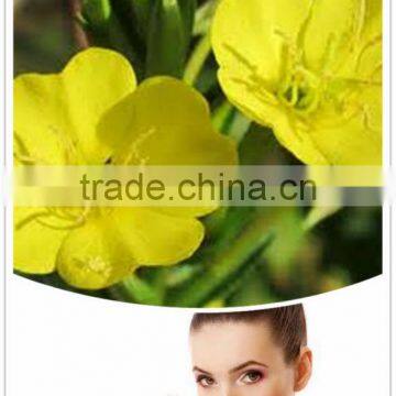 Oil for Female Health Evening Primrose Oil
