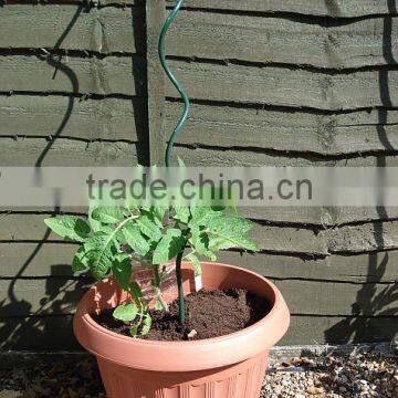 Garden spiral tomato stakes