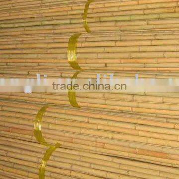 Tonkin bamboo cane (HL-TBC-03)