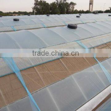 Commercial Greenhouse for Vegetable Production photo-3