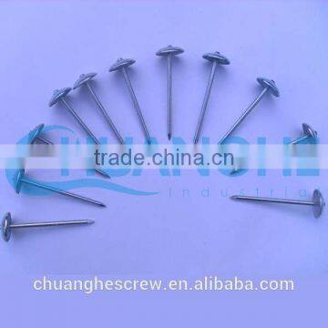 Umbrella Roofing Nails Factory/fuyu Metal photo-5