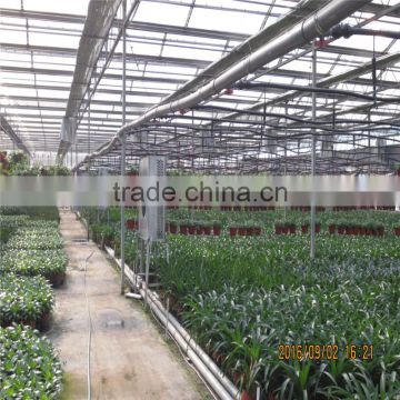 Natural ventilation green house for vegetables