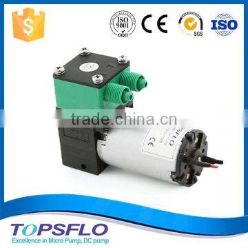 High Performance 6V 12V 24V Diaphragm Mini Air Pump