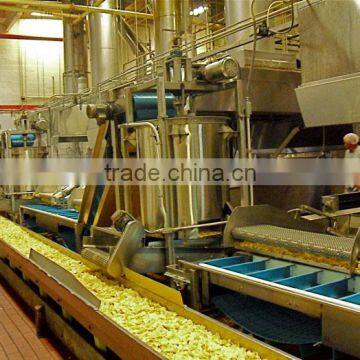 High Quality Potato Chips and French Fries Production Line photo-5