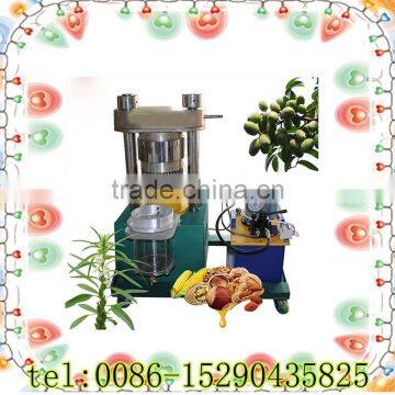 walnut oil press machine factory direct sell to Malaysia