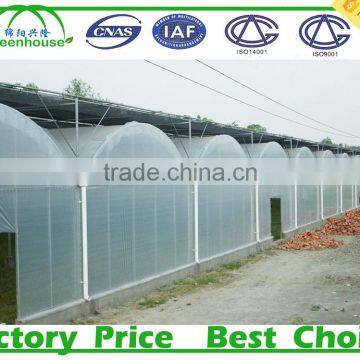 commercial aluminium greenhouse