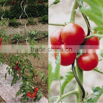 Tomato Spirals Plant Support