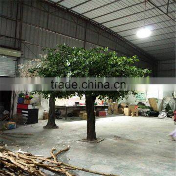 LXY081331 Factory Cheap Artificial Banyan Trees Plastic Ficus Bonsai Tree for Sale photo-2