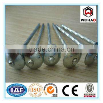Widely use twist shank roofing nails g8-g12