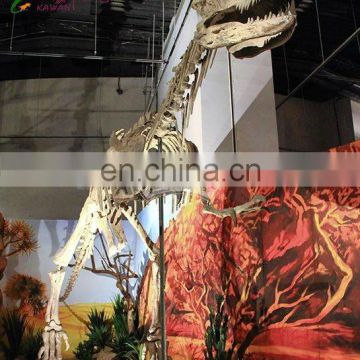 Dinosaur fossil from dinosaur skeleton factory