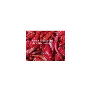 dry chilli