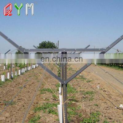 Chile Market Vine Open Gable Trellis Post photo-5
