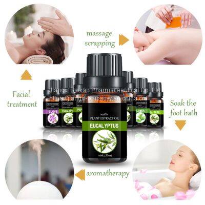 Factory Wholesale Eucalyptus Essential Oil Pure Natural Oil photo-5