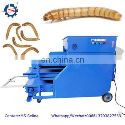 March exp Shuliy worm farm for mealworm screening sorting selecting machine