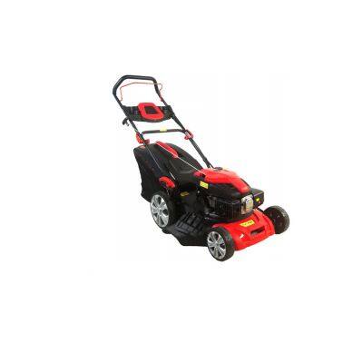 Hand-propelled Gasoline Mower photo-3