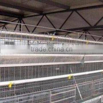 high quality commercial chicken house