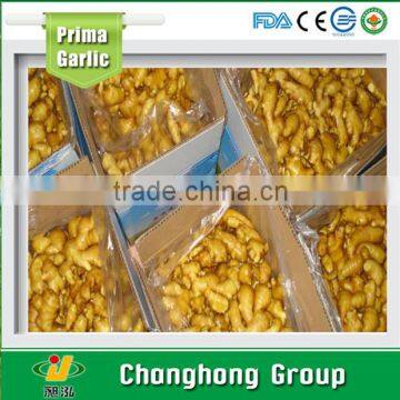 2015 new crop Linyi origin fresh ginger