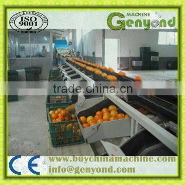 Cup Squezzing Orange Juicer Machine photo-5