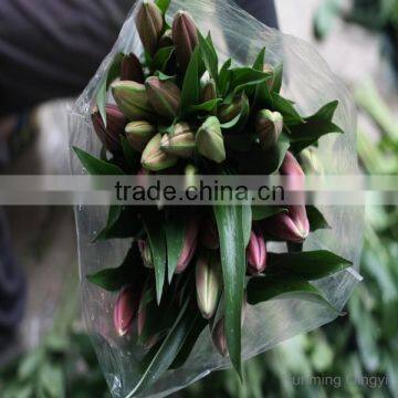 Fresh cut flowers different color oriental hybrid fresh cut lilies