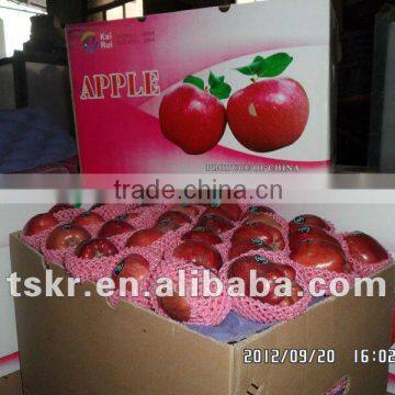 apple wholesale red apple fruit price