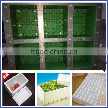 Zhejiang Eps mould/Mold for Foam Fruit Box