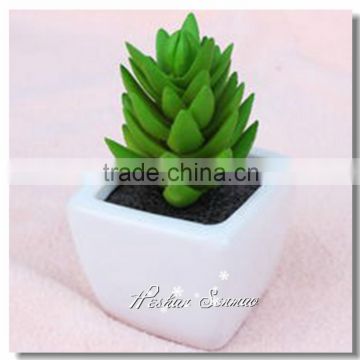 pvc Material and Succulent Plants Plant Type Artificial Succulent Plants