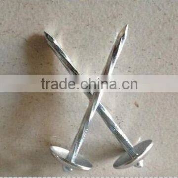 galvanized umbrella roofing nails with twisted shank