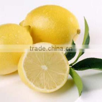 Fresh Lemons