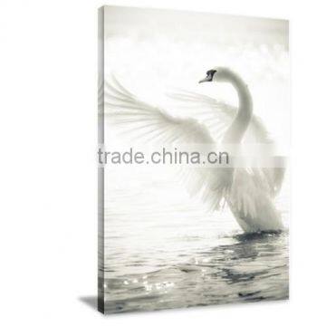 Frame Animal Swan canvas Printed Art Painting Bedroom decor DWYS80