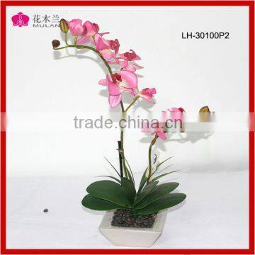 Shenzhen Orchid Flower FActory Artificial Flower Guangzhou