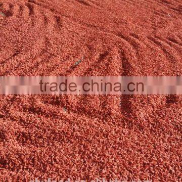 Organic Dried Goji Berry 380grains/50g photo-3