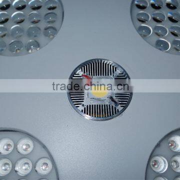 Professional Hydroponics 600w CREEx COB LED Grow Lights With Vegetative Bloom Spectrum photo-2