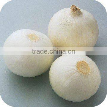 White Onion Seeds