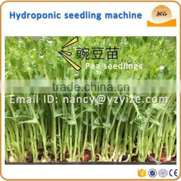 Automatic grass seeds planting machine, wheat bean sprout machine