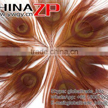 CHINAZP Factory Bulk Sale Top Selling Dyed Brown Trimmed Short Peacock Feathers for Clothes Accessories photo-3