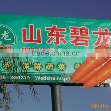 Fresh Carrots from china new crop (Fujian ,Shandong, Hebei ,Mogolia )