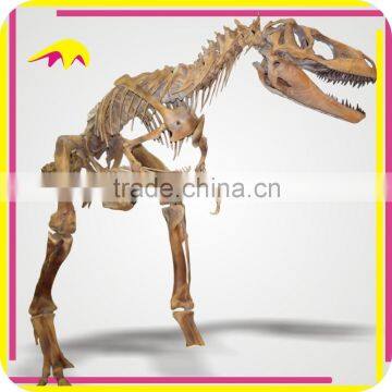 KANO2126 Handmade Vivid Real Size Dinosaur Forssil Skeleton