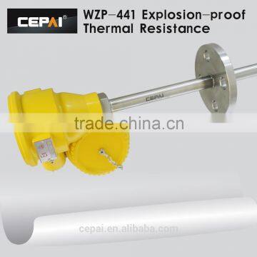 WZP-240 Explosion-proof Type RTD photo-4