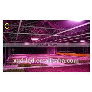 led grow light HOT SALE grow led lights 2016 with XQD