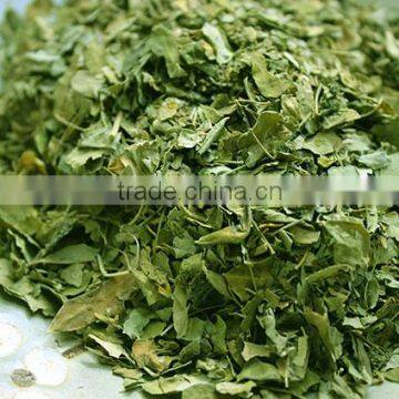 Moringa Oleifera Seeds Available... photo-5