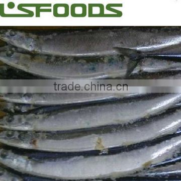 2014 Frozen pacific saury from China