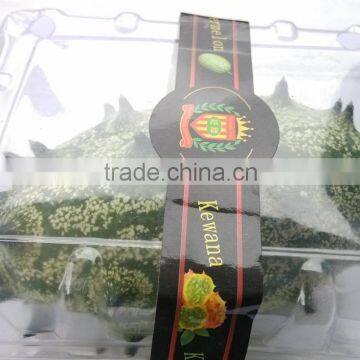 Kewana Seeds Jelly Melon Seeds The Horned Melon For Growing photo-3