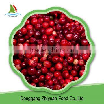 High Quality best selling sweet wild frozen lingonberry on sale