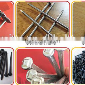 1"-6" COMMON IRON NAILS FACTORY