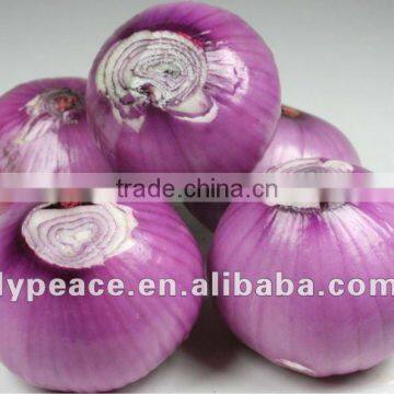 2012 new fresh onion for dehydrated vegetables