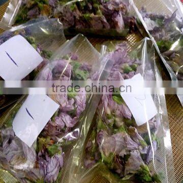 Microwave Flower Dryer and Sterilization Equipment photo-4