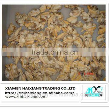 Frozen short-necked clam supplier