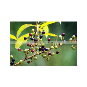 LITSEA CUBEBA OIL