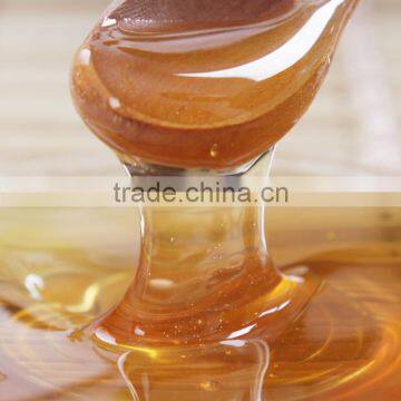 Honey Product Type and Extra Light Amber Color Natural Honey Purified Honey