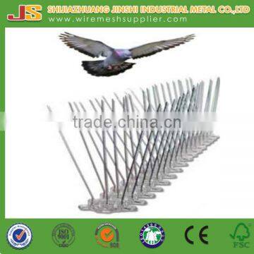 factory 50cm polycarbonate base 304ss anti bird spikes on alibaba made in china